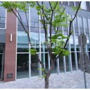 유니메디컬 이미지