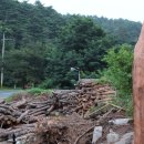 대관령24시솔가마 이미지