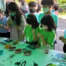 마지초등학교 이미지