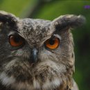 경인렌트카 이미지