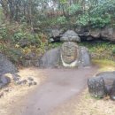 제주도유 이미지