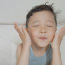뽀송하랑 이미지