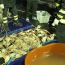 동해어업관리단 이미지