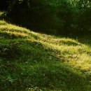 도순동-2 이미지