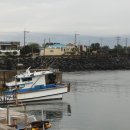 낭만고등어 이미지