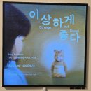 CAR story | 12월 잠실 무료 전시회 이상하게 좋다 후기 @ 넥스트 뮤지엄