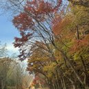 봉화산 민박 | 등산초보 지리산 탐방로 피아골코스 등산 단풍 눈 구경