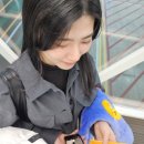 동화 속 수학여행 | [제주도 여행] 2026.02.14 - 1일차 : 도토리숲, 성산일출봉, 유채꽃, 말로, 적심, 고도