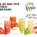 법인계수나무 이미지