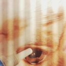 한라동물종합병원 이미지