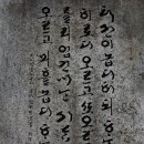 금수정 Daum카페