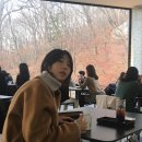 놀부광고디자인