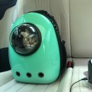 어정동물병원 이미지