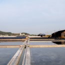 곰소농장 이미지