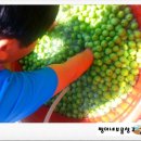 쩡이네보물창고 이미지