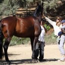 사무엘농장 이미지