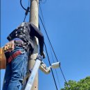 와이디에스 이미지