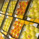 감곡2농장 이미지