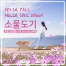 소울도기 이미지