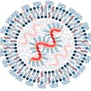 [NIH] Can mRNA Vaccines Help Treat Cancer?(mRNA 백신이 암 치료에 도움이 될 수 있습니까?) 이미지