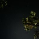 포항촌캉스 이미지