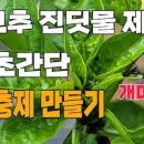 진딧물 퇴치 제거 방법 화초 화분 상추 고추 진딧물 퇴치법 이미지