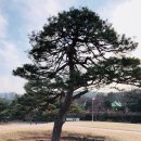 곡성-068 이미지