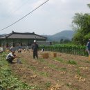 홍연폭포 이미지