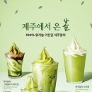 폴바셋투고바파라다이스시티점