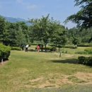 숲속의평창 이미지