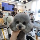 멍케어존 이미지