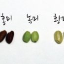 주)닥터 클로로필 네이버블로그