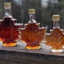 메이플시럽 칼로리 효능 유통기한 보관 방법 이미지