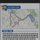황성공원 축구공원 5구장 | 경주 제22회 신라의 달밤걷기 165리 걷기대회 75리(30km) 후기 🚶‍♀️🌛