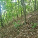 강림면331 이미지