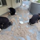 환일고등학교 이미지