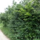 고흥읍 흥양길 이미지