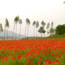 정원전설(주) 이미지