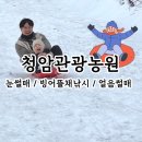 이천 눈썰매장 어디가 좋을까? ft. 용인 눈썰매장, 청암관광농원 비교