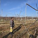 섬뜰농원 이미지