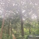 웰니스캠프