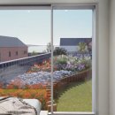 더네이처 이미지