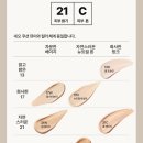 ２１C광고 | 영 추천템] 더 강력해진 라네즈 네오 쿠션 더 매트 21C 쿨베이지 : 실버 파우치 기획 세트 리얼 후기 🩶