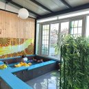 스테이더문 이미지