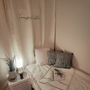 스테이오로지 이미지