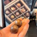 성읍리-4 | 🌷 제주 서귀포 튤립축제 보롬왓 후기 | 제주 꽃구경 명소 체험까지 가능한 핫플 추천