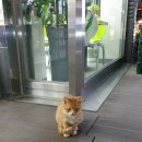 대봉약수터 이미지