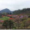 증도 증동리교회 교육관 | 수도여고동문 전세버스대절(천사의 섬 증도, 무안초의선사유적지)