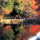 금곡영화민속촌 이미지