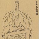 홍인한의원 이미지